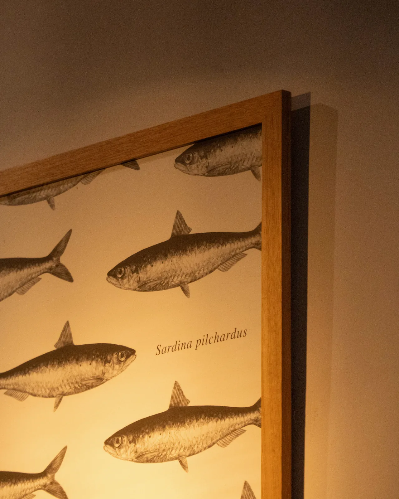 Arte e identidad Marcando El Camino